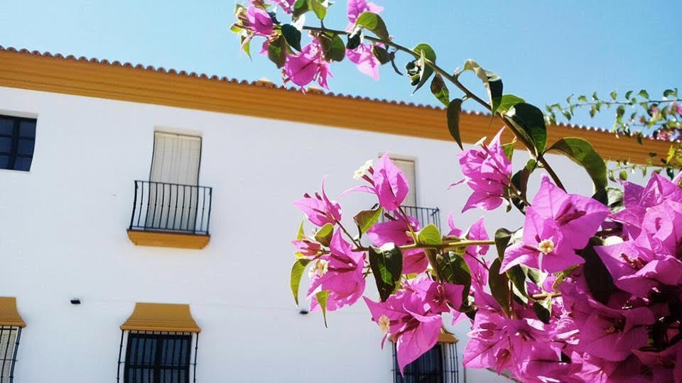 Hotel Andalou Montellano Ngoại thất bức ảnh